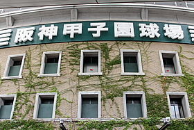 甲子園球場